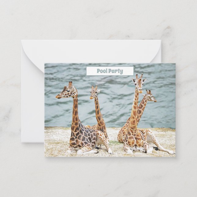 Giraffe Water Fun Photo -  Four Giraffe's Party Card (Front)