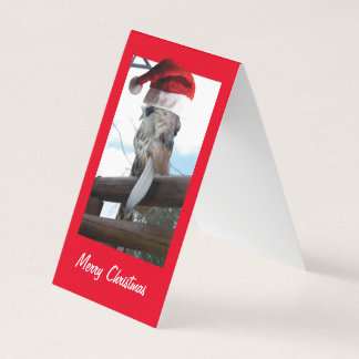 Giraffe Wearing a Santa Claus Hat