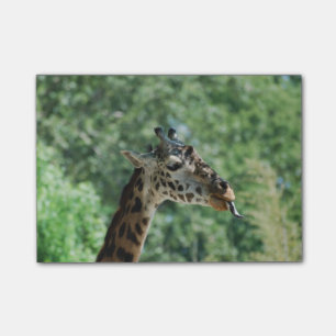 Giraffe with a Long Tongue Post-it Notes