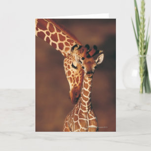 Giraffe with Calf Giraffa camelopardalis Card