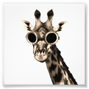 Giraffe With Steampunk Sunglasses Goggles Photo Print