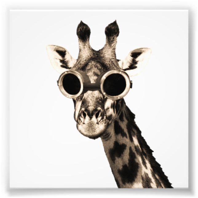 Giraffe With Steampunk Sunglasses Goggles Photo Print (Front)