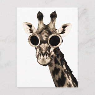 Giraffe With Steampunk Sunglasses Goggles Postcard