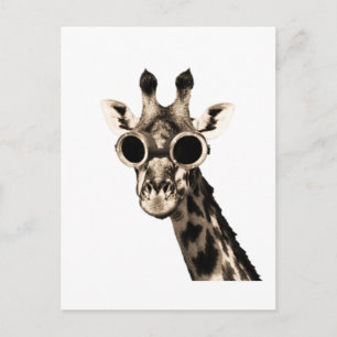 Giraffe With Steampunk Sunglasses Goggles Postcard