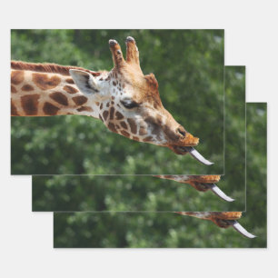Giraffe with Tongue Out Wrapping Paper Sheet