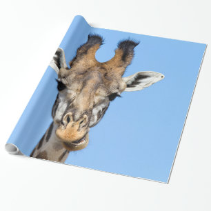 Giraffe Wrapping Paper
