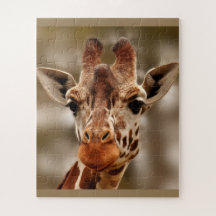 Giraffe Zoo Animal Portrait Wild Puzzle