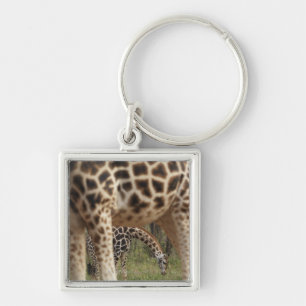 Giraffes 2 key ring