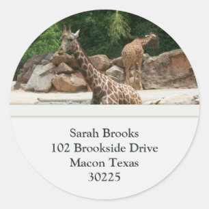 Giraffes Address Labels