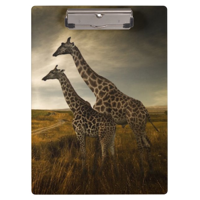 Giraffes and The Landscape Clipboard (Front)
