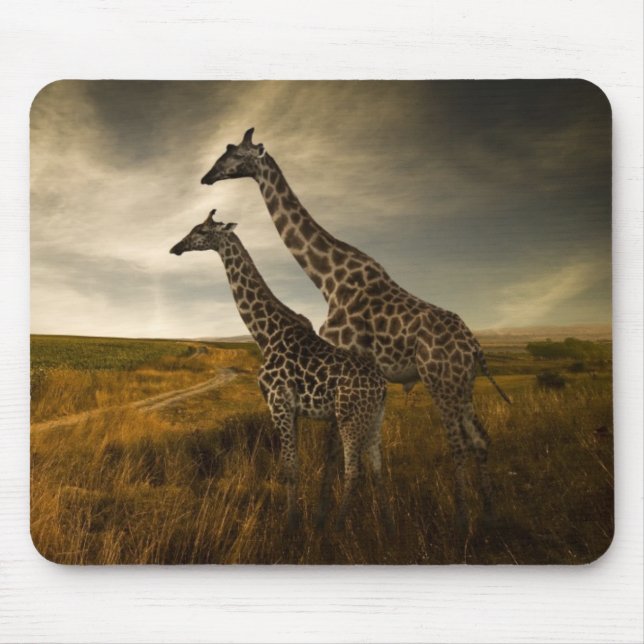 Giraffes and The Landscape Mouse Mat (Front)