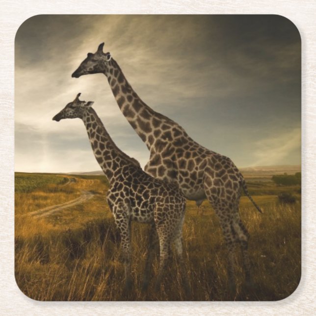 Giraffes and The Landscape Square Paper Coaster (Front)