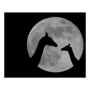 Giraffes At Fullmoon Night Poster