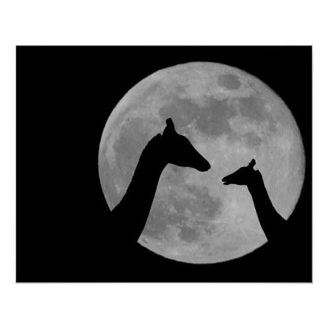 Giraffes At Fullmoon Night Poster (Front)