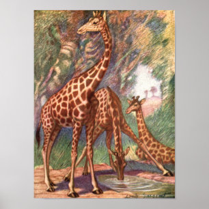 Giraffes by Louis Sargent, Vintage African Animals Poster