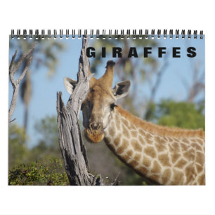 GIRAFFES  CALENDAR