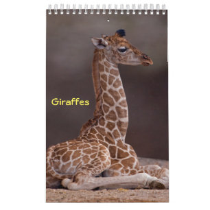 Giraffes Calendar