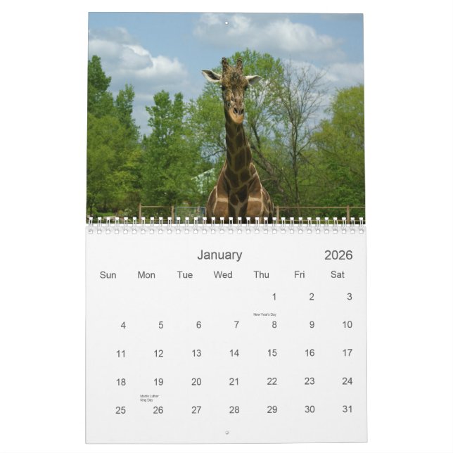 Giraffes Calendar (Jan 2026)