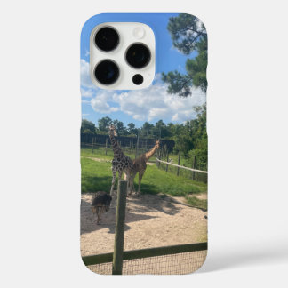 Giraffes iPhone 16 pro case