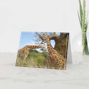 Giraffes Greeting Card