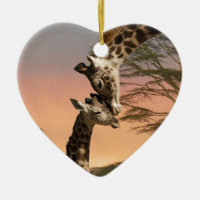 Giraffes Greeting Each Other