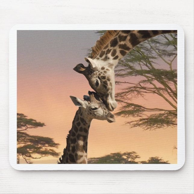 Giraffes Greeting Each Other Mouse Mat (Front)