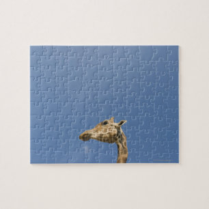 Giraffe's head jigsaw puzzle