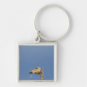 Giraffe's head key ring