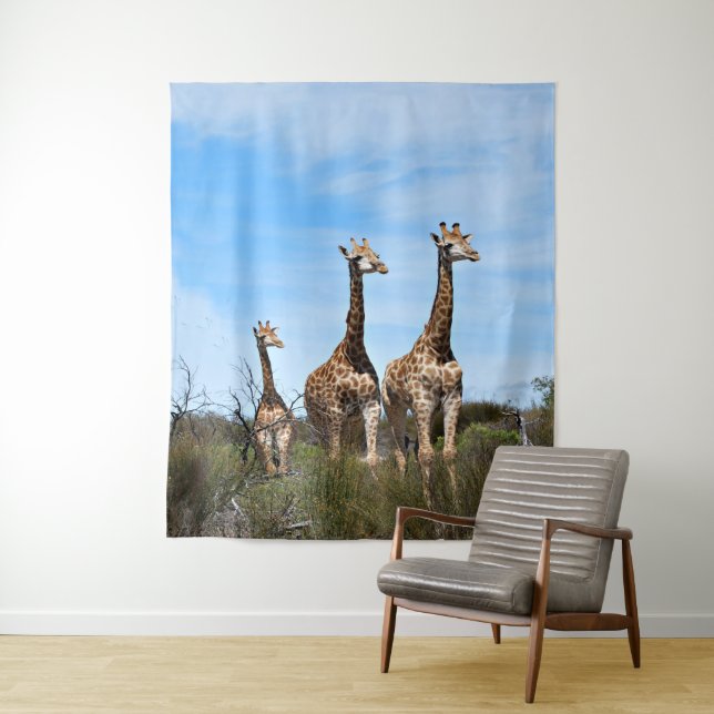 Giraffes in Endless Sky Tapestry (In Situ)