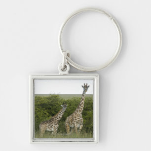 Giraffes in Kenya, Africa 2 Key Ring