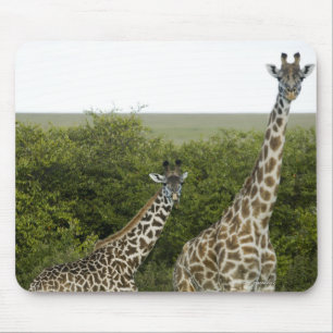 Giraffes in Kenya, Africa 2 Mouse Mat