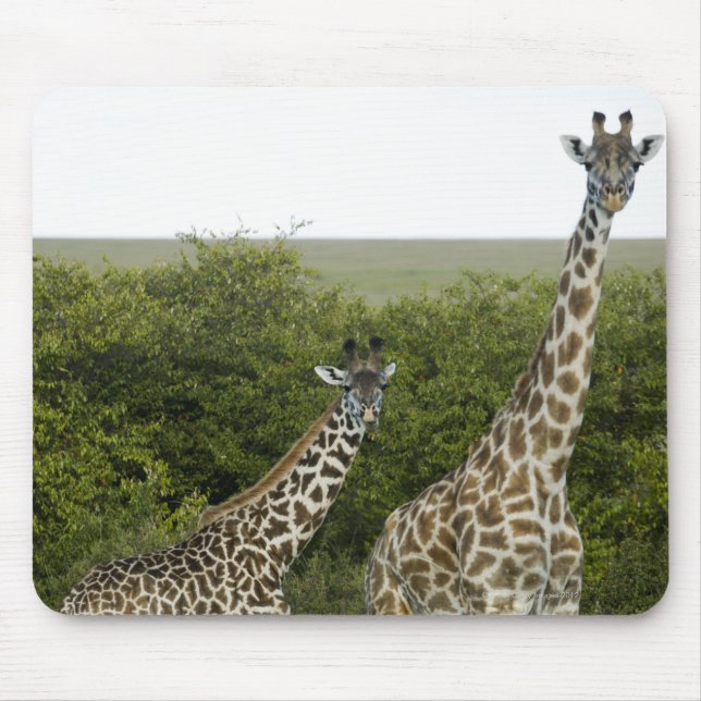 Giraffes in Kenya, Africa 2 Mouse Mat (Front)