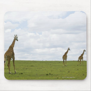 Giraffes in Kenya, Africa Mouse Mat