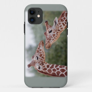 Giraffes in Love iPhone 5 Case