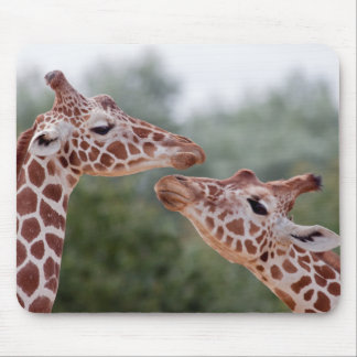 Giraffes in Love Mousemat