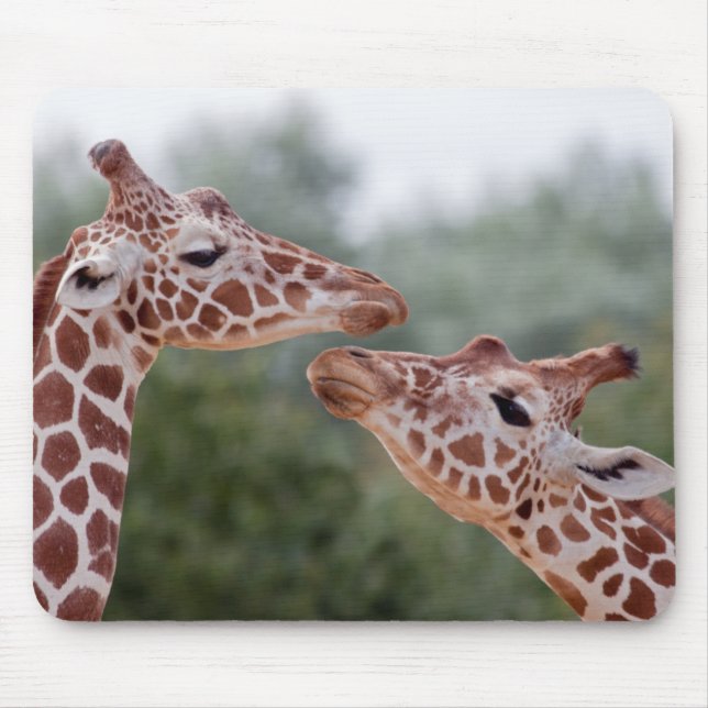 Giraffes in Love Mousemat (Front)