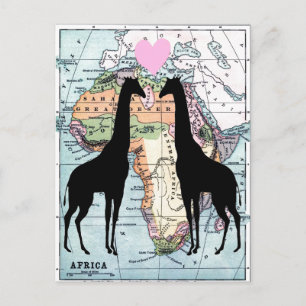 Giraffes in love postcard