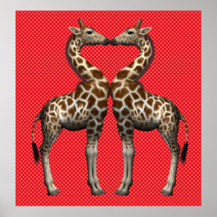 Giraffes In Love Poster