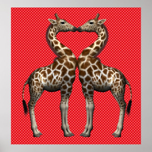 Giraffes In Love Poster (Front)