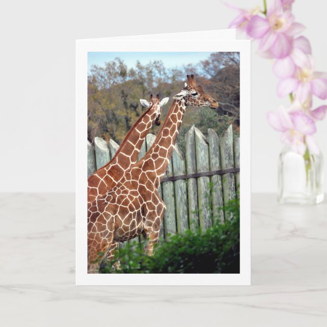 Giraffes in Park Card (Orchid)