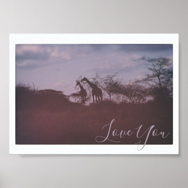 Giraffes in Wild Habitat Love You Poster (Front)
