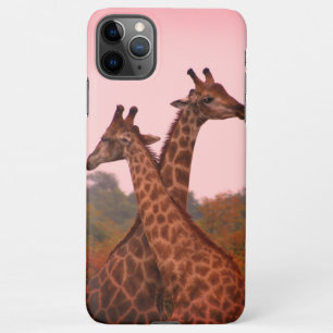 Giraffes iPhone 11Pro Max Case