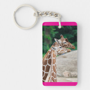 giraffes key ring