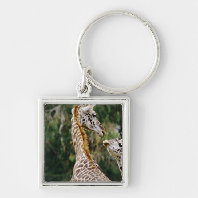 Giraffes Key Ring (Front)