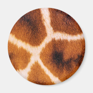 GIRAFFES MAGNET