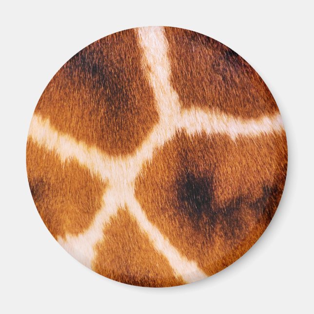 GIRAFFES MAGNET (Front)