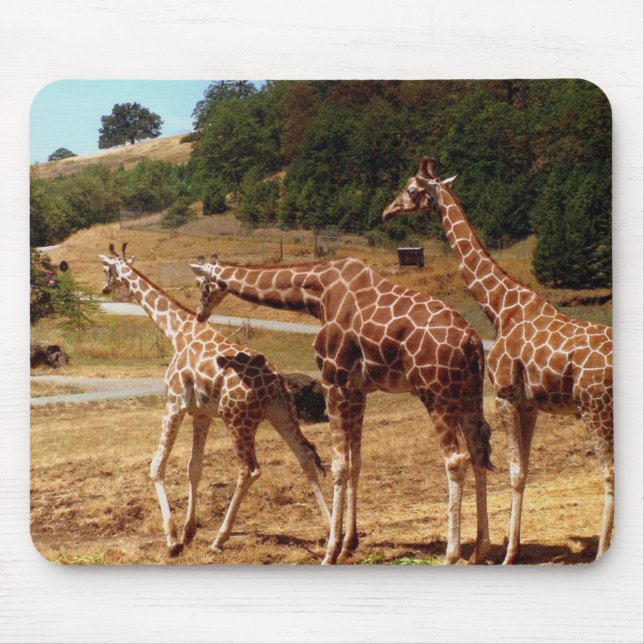Giraffes Mouse Mat (Front)
