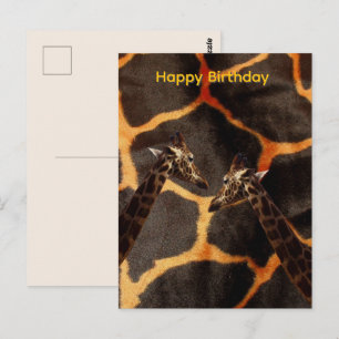 Giraffes On Giraffe Background, Bday Postcard
