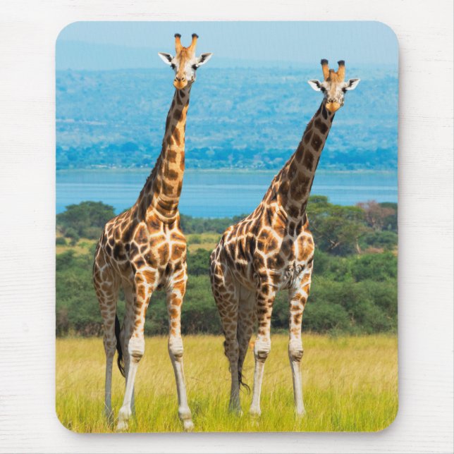Giraffes on the Savanna, Uganda Mouse Mat (Front)