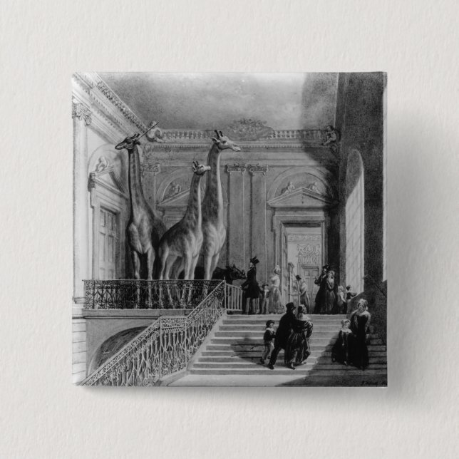 Giraffes on the staircase in the British 15 Cm Square Badge (Front)